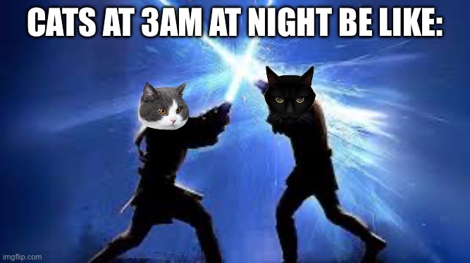 lightsaber duel | CATS AT 3AM AT NIGHT BE LIKE: | image tagged in lightsaber duel | made w/ Imgflip meme maker