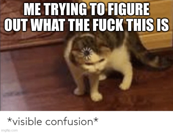 visible confusion | ME TRYING TO FIGURE OUT WHAT THE FUCK THIS IS | image tagged in visible confusion | made w/ Imgflip meme maker