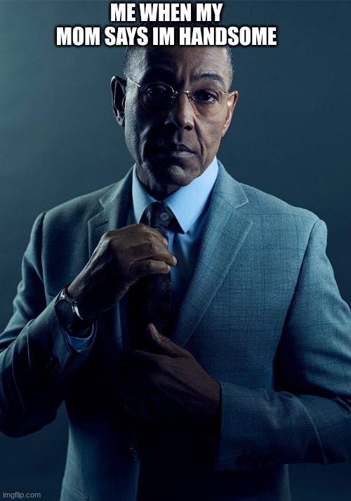 Gus Fring we are not the same | ME WHEN MY MOM SAYS IM HANDSOME | image tagged in gus fring we are not the same | made w/ Imgflip meme maker