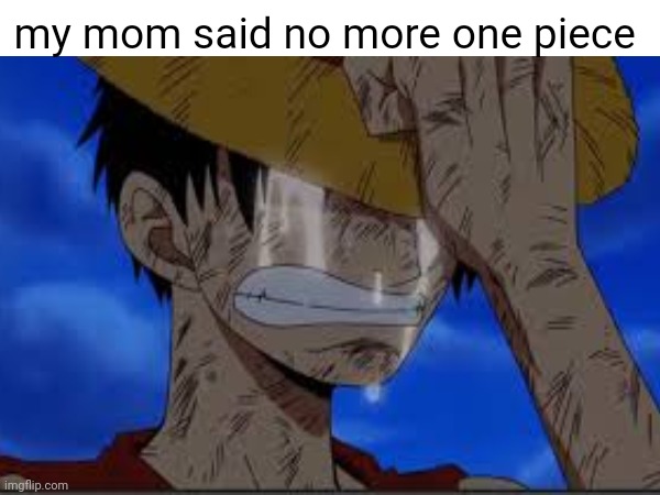 ?️ruh | my mom said no more one piece | image tagged in idk,why,y | made w/ Imgflip meme maker