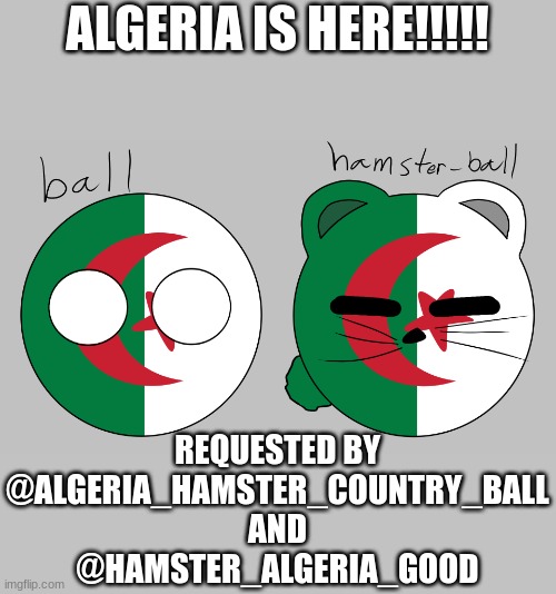 They look so cute!!!!!!! | ALGERIA IS HERE!!!!! REQUESTED BY @ALGERIA_HAMSTER_COUNTRY_BALL  AND 
@HAMSTER_ALGERIA_GOOD | image tagged in meme,art,hamster algeria,algeria,countryballs | made w/ Imgflip meme maker