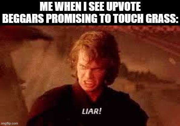 Anakin Liar | ME WHEN I SEE UPVOTE BEGGARS PROMISING TO TOUCH GRASS: | image tagged in anakin liar | made w/ Imgflip meme maker