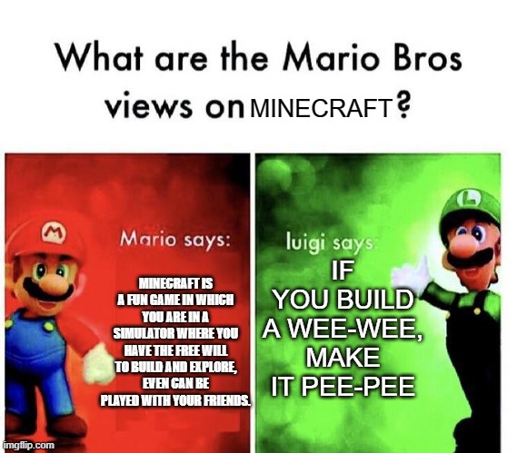 Mario Bros Views | MINECRAFT; IF YOU BUILD A WEE-WEE, MAKE IT PEE-PEE; MINECRAFT IS A FUN GAME IN WHICH YOU ARE IN A SIMULATOR WHERE YOU HAVE THE FREE WILL TO BUILD AND EXPLORE, EVEN CAN BE PLAYED WITH YOUR FRIENDS. | image tagged in mario bros views | made w/ Imgflip meme maker