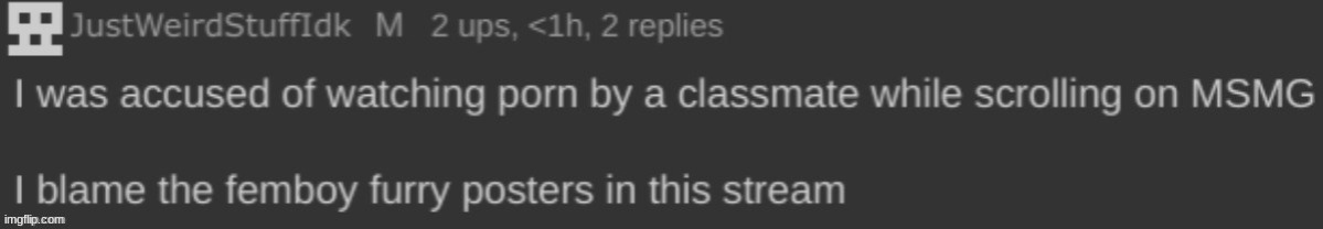 I was accused of watching porn by a classmate while scrolling on Blank Meme Template