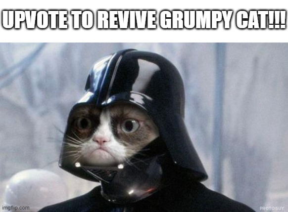 LONG LIVE GRUMPY CAT!!! | UPVOTE TO REVIVE GRUMPY CAT!!! | image tagged in memes,grumpy cat star wars,grumpy cat | made w/ Imgflip meme maker