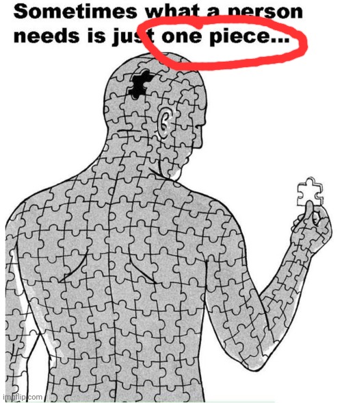 Sometimes what a person needs is just one piece | image tagged in sometimes what a person needs is just one piece | made w/ Imgflip meme maker