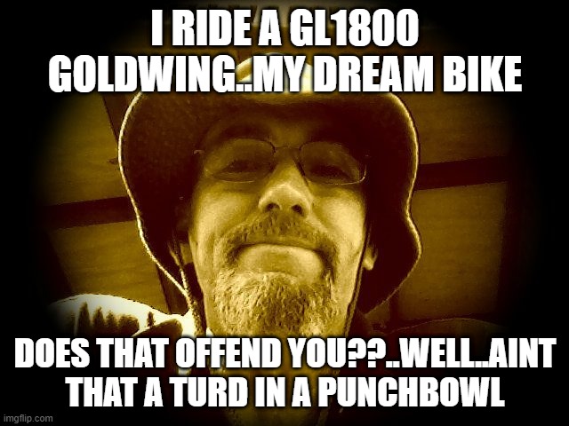 Goldwings | I RIDE A GL1800 GOLDWING..MY DREAM BIKE; DOES THAT OFFEND YOU??..WELL..AINT THAT A TURD IN A PUNCHBOWL | image tagged in funny memes,funny,bikes | made w/ Imgflip meme maker
