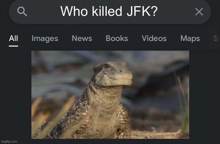 Fake search | Who killed JFK? | image tagged in fake search,prehistoric planet,jfk,memes,meme,shitpost | made w/ Imgflip meme maker