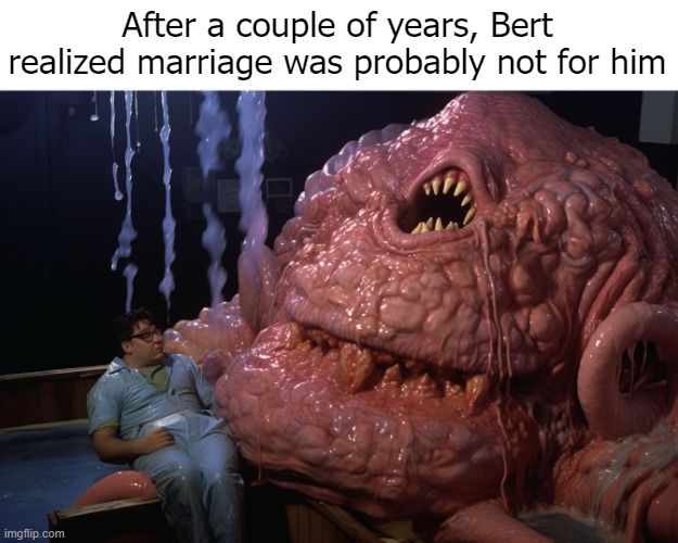 Something had changed | After a couple of years, Bert realized marriage was probably not for him | image tagged in funny,ai | made w/ Imgflip meme maker