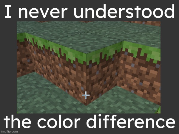 SOMEONE PLEASE EXPLAIN AAAAAAAA | I never understood; the color difference | image tagged in minecraft,memes,confusion | made w/ Imgflip meme maker