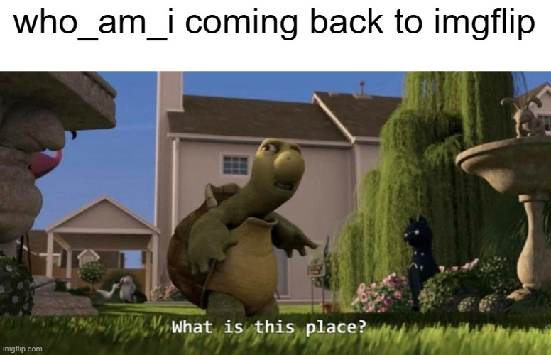 What is this place | who_am_i coming back to imgflip | image tagged in what is this place,who_am_i | made w/ Imgflip meme maker