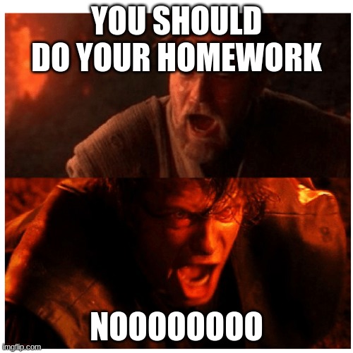 You were the Chosen one blank | YOU SHOULD DO YOUR HOMEWORK; NOOOOOOOO | image tagged in you were the chosen one blank | made w/ Imgflip meme maker