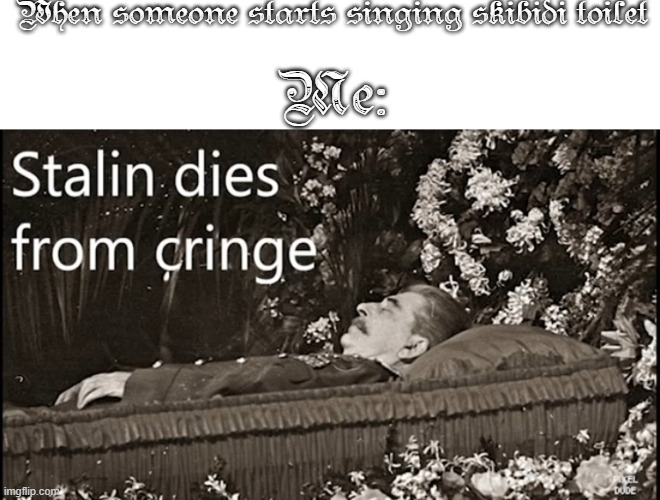 F For Stalin who died of cringe | When someone starts singing skibidi toilet; Me: | image tagged in f | made w/ Imgflip meme maker