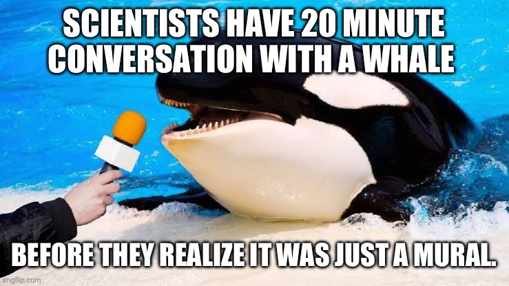 Orca talking into a microphone | SCIENTISTS HAVE 20 MINUTE CONVERSATION WITH A WHALE; BEFORE THEY REALIZE IT WAS JUST A MURAL. | image tagged in orca talking into a microphone,science,funny memes,whales,puppies and kittens | made w/ Imgflip meme maker