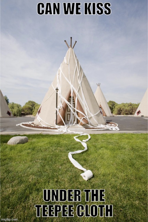 toilet paper teepee | CAN WE KISS; UNDER THE TEEPEE CLOTH | image tagged in toilet paper teepee | made w/ Imgflip meme maker