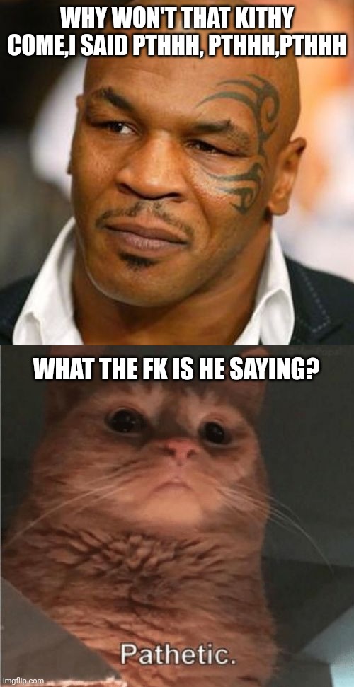 WHY WON'T THAT KITHY COME,I SAID PTHHH, PTHHH,PTHHH; WHAT THE FK IS HE SAYING? | image tagged in memes,disappointed tyson,pathetic cat | made w/ Imgflip meme maker