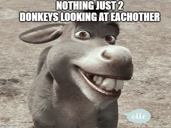 NOTHING JUST 2 DONKEYS LOOKING AT EACHOTHER | made w/ Imgflip meme maker
