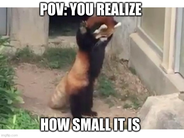 Relatable | POV: YOU REALIZE; HOW SMALL IT IS | image tagged in relatable | made w/ Imgflip meme maker