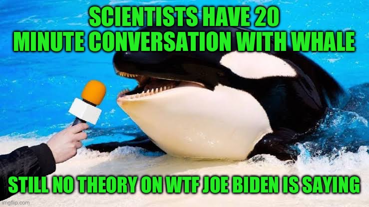 I’d like to know raccoon. | SCIENTISTS HAVE 20 MINUTE CONVERSATION WITH WHALE; STILL NO THEORY ON WTF JOE BIDEN IS SAYING | image tagged in funny memes,politics,joe biden,dementia,science,whales | made w/ Imgflip meme maker