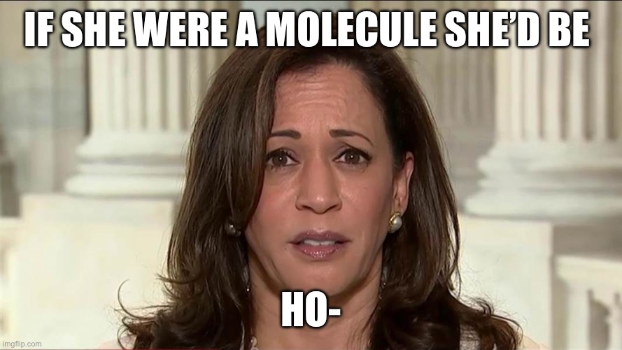 Because…well…. | IF SHE WERE A MOLECULE SHE’D BE; HO- | image tagged in kamala harris,government corruption,liberal hypocrisy,funny memes,politics | made w/ Imgflip meme maker