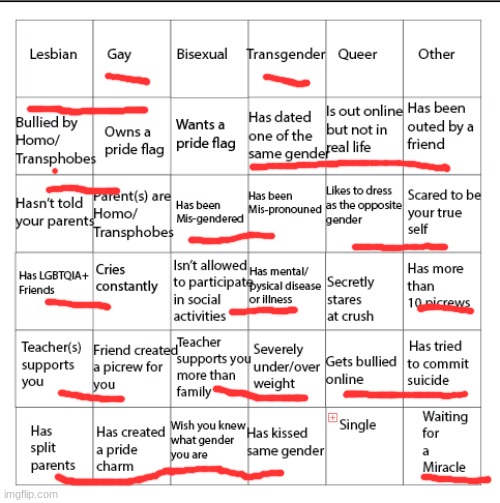 Bingo! I win =_= | image tagged in lgbtqia bingo | made w/ Imgflip meme maker