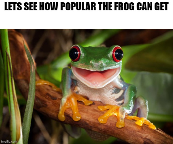 fr forg | LETS SEE HOW POPULAR THE FROG CAN GET | image tagged in frog,animals,funny animals,cute animals,frogs,frog week | made w/ Imgflip meme maker