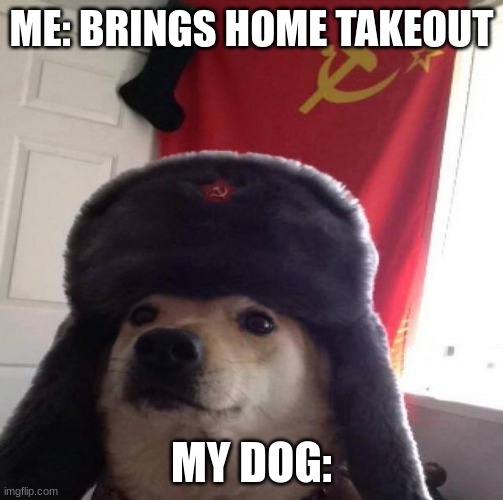our food | ME: BRINGS HOME TAKEOUT; MY DOG: | image tagged in russian doge | made w/ Imgflip meme maker