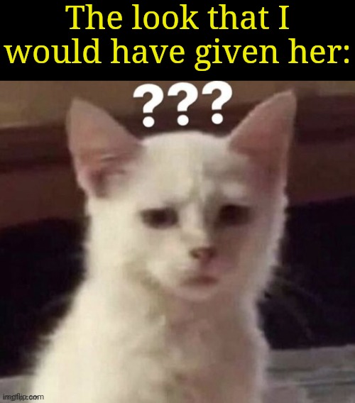 ? | The look that I would have given her: | made w/ Imgflip meme maker