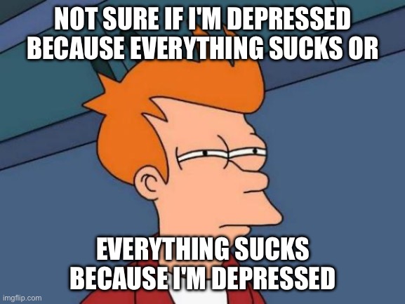 Depression | NOT SURE IF I'M DEPRESSED BECAUSE EVERYTHING SUCKS OR; EVERYTHING SUCKS BECAUSE I'M DEPRESSED | image tagged in memes,futurama fry | made w/ Imgflip meme maker