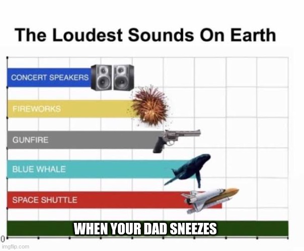 SOOOOOOO LOUD | WHEN YOUR DAD SNEEZES | image tagged in the loudest sounds on earth,funny memes,viral meme,fun,dads,change my mind | made w/ Imgflip meme maker