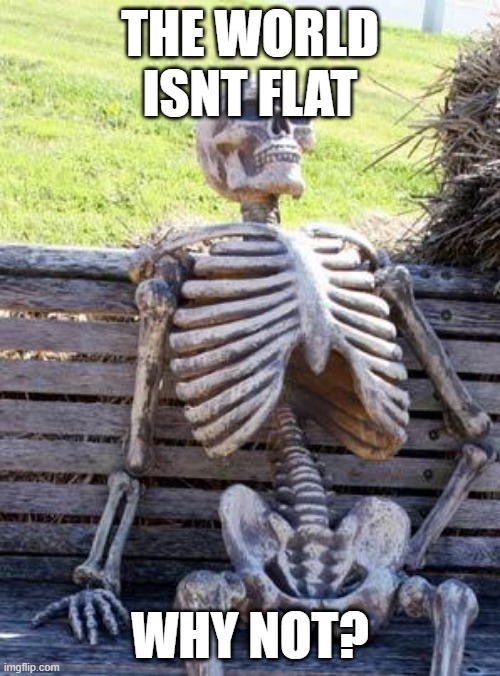 Waiting Skeleton | THE WORLD ISNT FLAT; WHY NOT? | image tagged in memes,waiting skeleton | made w/ Imgflip meme maker