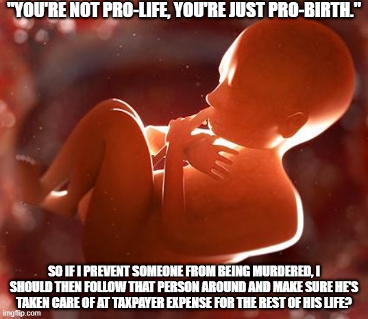 Leftist Logic on Pro-Birth | "YOU'RE NOT PRO-LIFE, YOU'RE JUST PRO-BIRTH."; SO IF I PREVENT SOMEONE FROM BEING MURDERED, I SHOULD THEN FOLLOW THAT PERSON AROUND AND MAKE SURE HE'S TAKEN CARE OF AT TAXPAYER EXPENSE FOR THE REST OF HIS LIFE? | image tagged in thinking fetus,leftist lunacy,bad logic | made w/ Imgflip meme maker