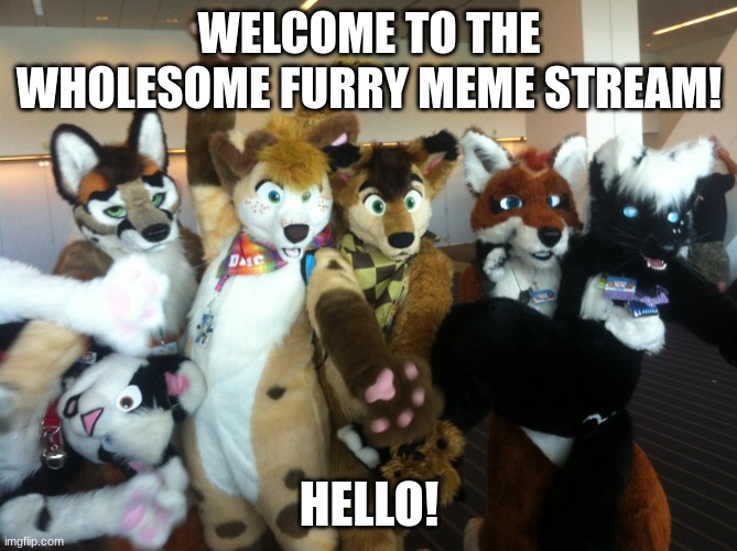 Welcome all! (but no anti-furries sorry) | WELCOME TO THE WHOLESOME FURRY MEME STREAM! HELLO! | image tagged in furries | made w/ Imgflip meme maker