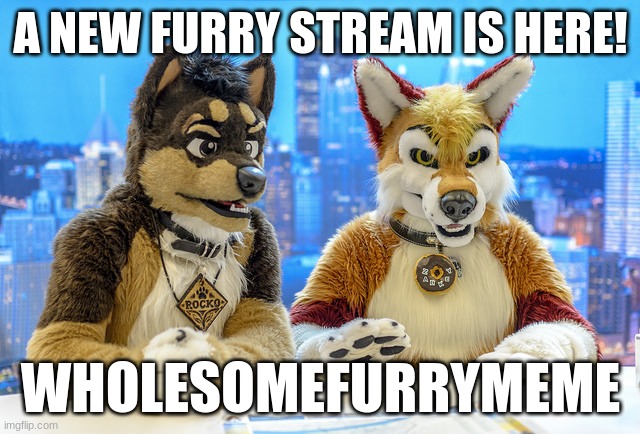 Its called WholesomeFurryMemes | A NEW FURRY STREAM IS HERE! WHOLESOMEFURRYMEME | image tagged in furry news | made w/ Imgflip meme maker