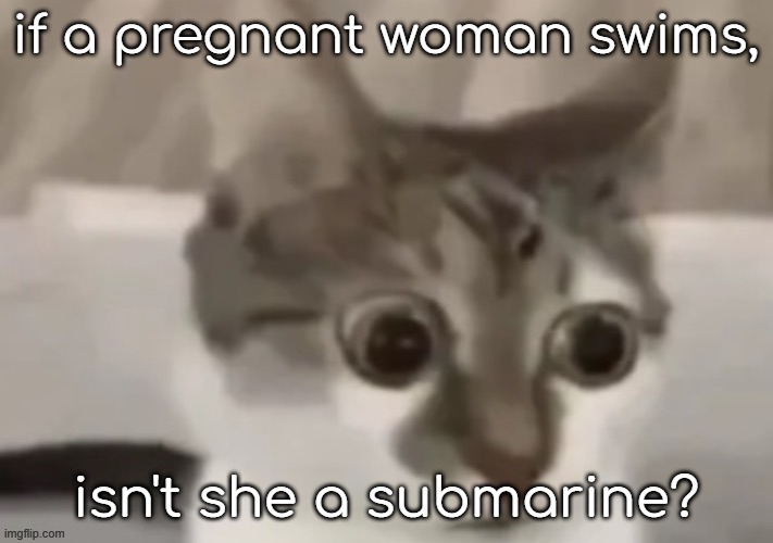 bombastic side eye cat | if a pregnant woman swims, isn't she a submarine? | image tagged in bombastic side eye cat | made w/ Imgflip meme maker