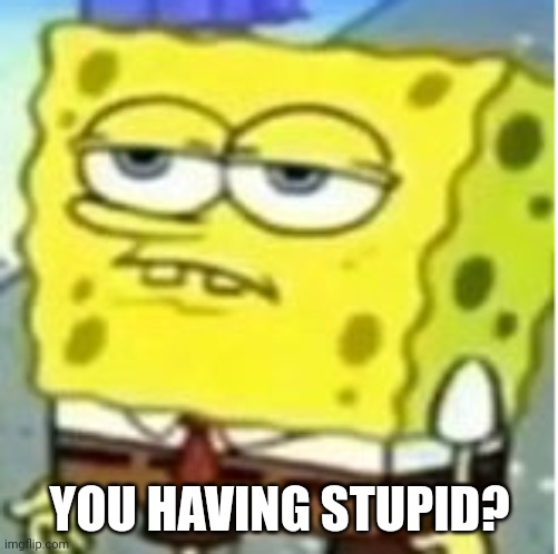 Not suprised spongebob | YOU HAVING STUPID? | image tagged in not suprised spongebob | made w/ Imgflip meme maker