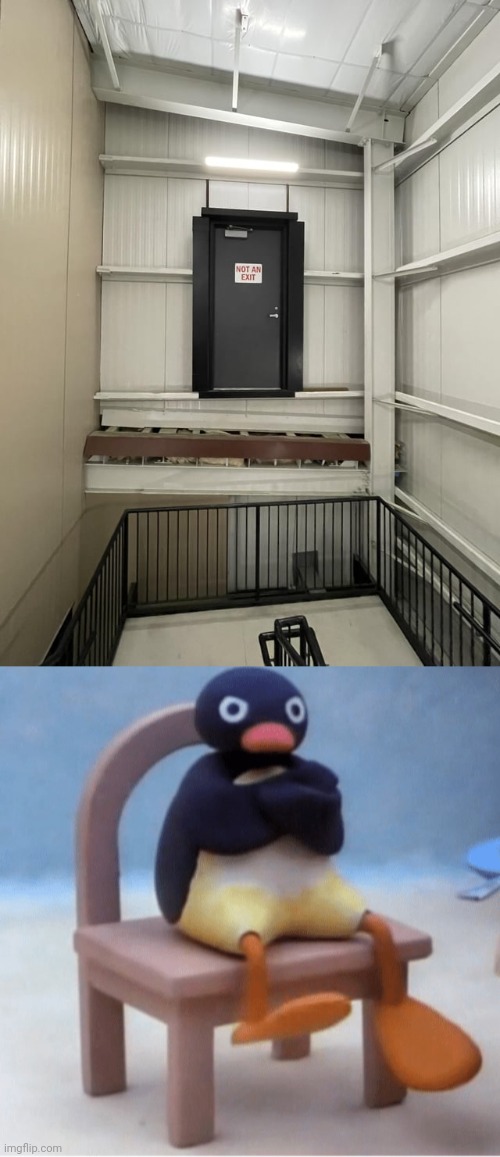 Door | image tagged in angry penguin,exit,door,doors,you had one job,memes | made w/ Imgflip meme maker