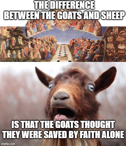 THE DIFFERENCE BETWEEN THE GOATS AND SHEEP; IS THAT THE GOATS THOUGHT THEY WERE SAVED BY FAITH ALONE | made w/ Imgflip meme maker