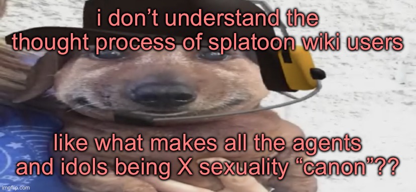 chucklenuts | i don’t understand the thought process of splatoon wiki users; like what makes all the agents and idols being X sexuality “canon”?? | image tagged in chucklenuts | made w/ Imgflip meme maker