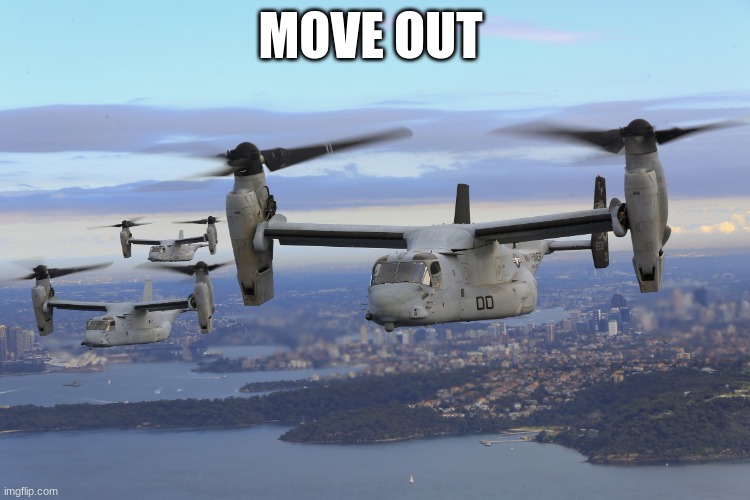 MOVE OUT | image tagged in cluster of ospreys | made w/ Imgflip meme maker