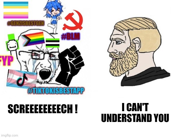 average liberal VS chad (Outdated) | SCREEEEEEEECH ! I CAN'T UNDERSTAND YOU | image tagged in average liberal vs chad outdated | made w/ Imgflip meme maker