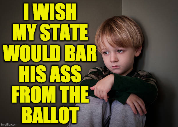 sad boy | I WISH
MY STATE
WOULD BAR
HIS ASS
FROM THE
BALLOT | image tagged in sad boy | made w/ Imgflip meme maker