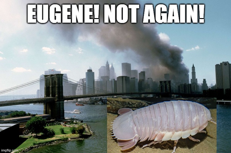 EUGENE! NOT AGAIN! | EUGENE! NOT AGAIN! | made w/ Imgflip meme maker