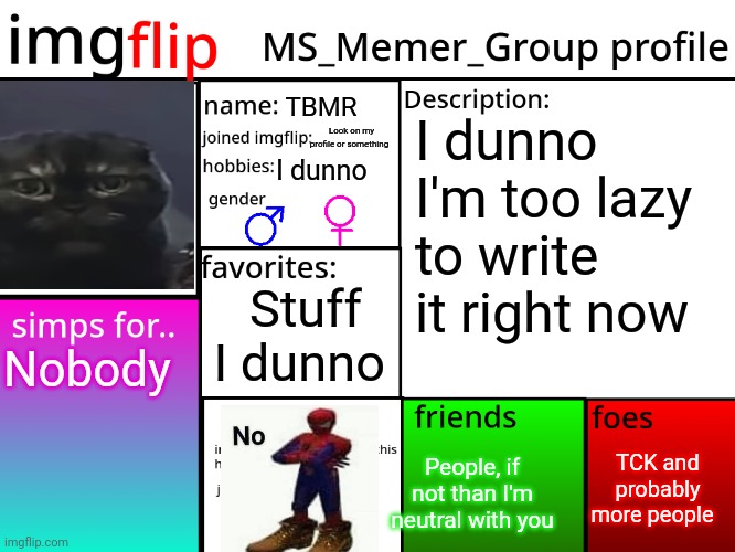 MSMG Profile | TBMR; I dunno I'm too lazy to write it right now; Look on my profile or something; I dunno; Stuff I dunno; Nobody; TCK and probably more people; People, if not than I'm neutral with you | image tagged in msmg profile | made w/ Imgflip meme maker