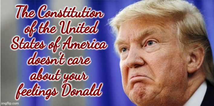 The Constitution Doesn't Care About Your Feelings | The Constitution  of the United States of America; doesn't care about your feelings Donald | image tagged in trump mad,the constitution,scumbag trump,scumbag maga,scumbag republicans,memes | made w/ Imgflip meme maker