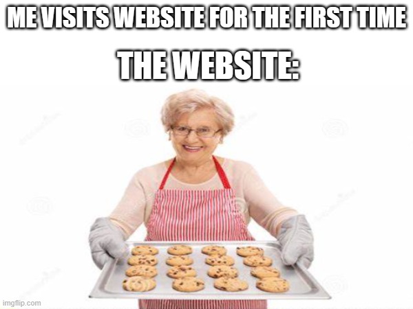 Have some cookies | ME VISITS WEBSITE FOR THE FIRST TIME; THE WEBSITE: | image tagged in funny,memes,relatable,fun | made w/ Imgflip meme maker