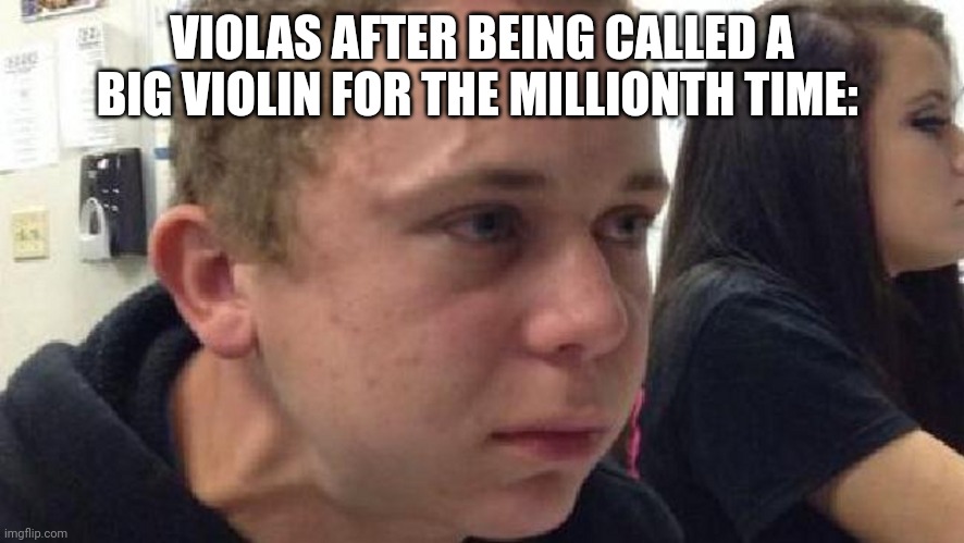 Violas actually have cello strings instead | VIOLAS AFTER BEING CALLED A BIG VIOLIN FOR THE MILLIONTH TIME: | image tagged in frustrated meme,music,musician | made w/ Imgflip meme maker
