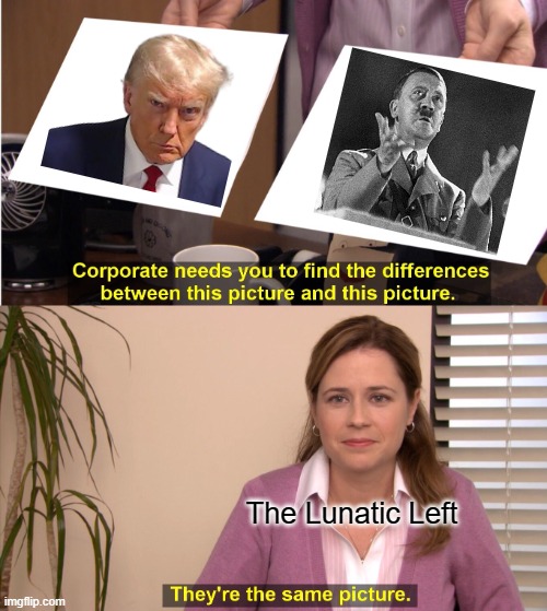 Leftists are of a same mind. | The Lunatic Left | image tagged in they're the same picture,donald trump,trump v hitler | made w/ Imgflip meme maker