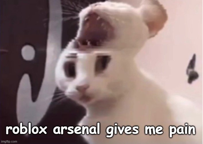 Shocked cat | roblox arsenal gives me pain | image tagged in shocked cat | made w/ Imgflip meme maker