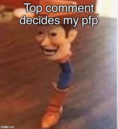 woody | Top comment decides my pfp | image tagged in woody | made w/ Imgflip meme maker